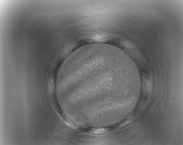 X0000054460459200508051955