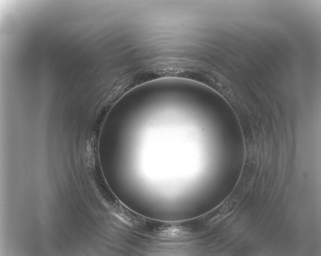 X0000054460460200508051955