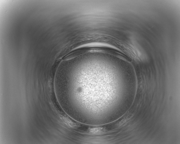 X0000054460461200508051955