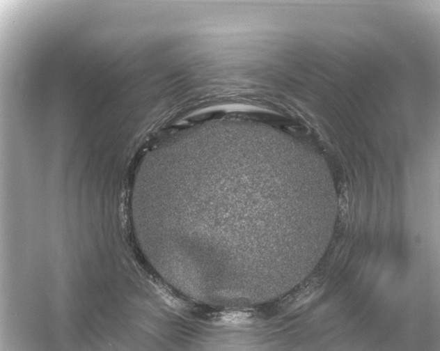 X0000054460462200508051955