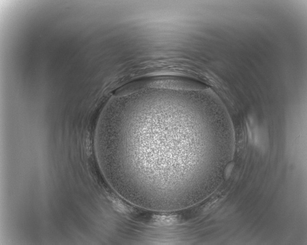 X0000054460469200508051955