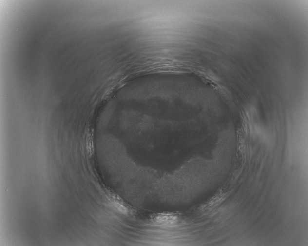 X0000054460471200508051955