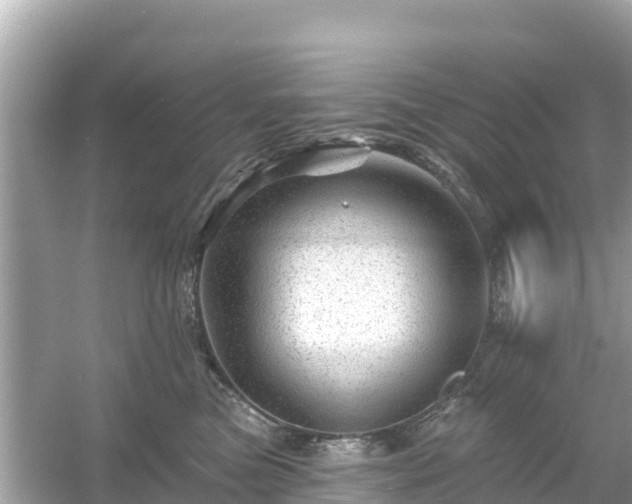 X0000054460473200508051955