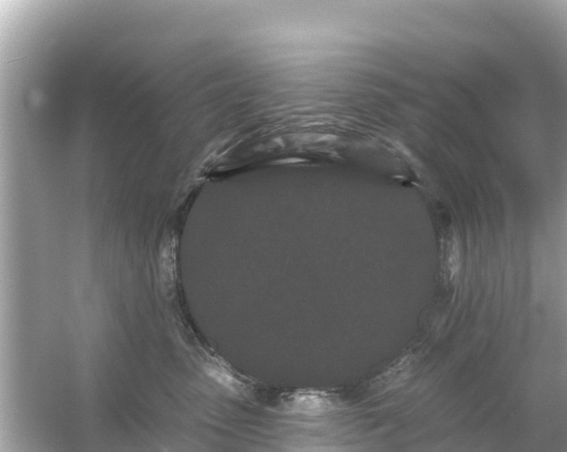 X0000054460475200508051955