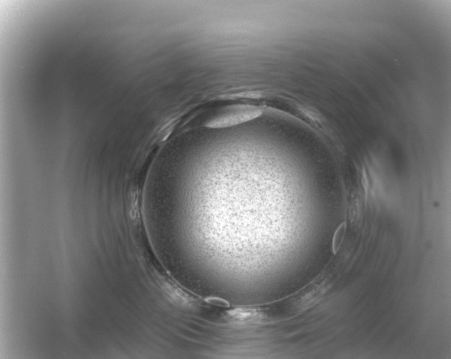 X0000054460477200508051955