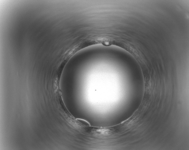 X0000054460478200508051955