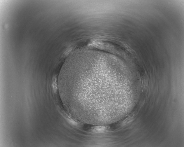 X0000054460479200508051955