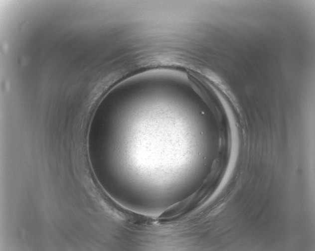 X0000054460481200508051955