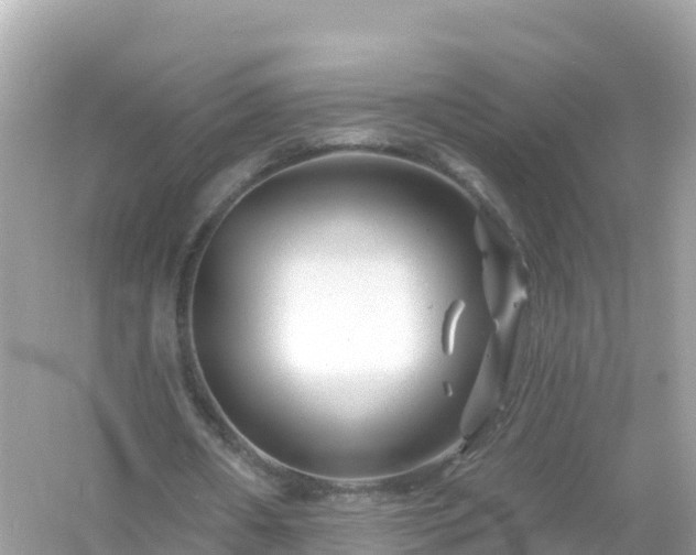 X0000054460482200508051955