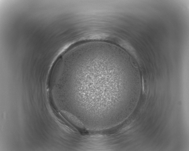 X0000054460483200508051955