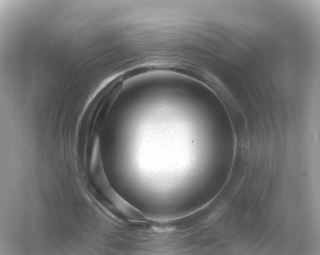 X0000054460484200508051955