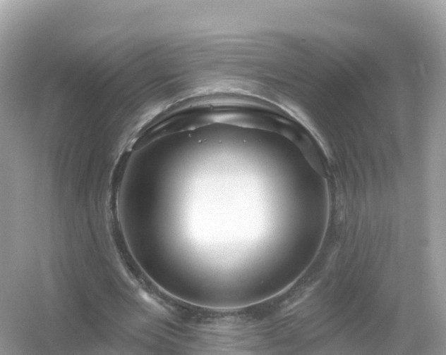 X0000054460485200508051955