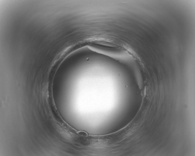 X0000054460486200508051955