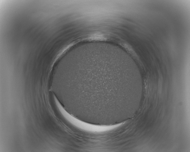 X0000054460487200508051955