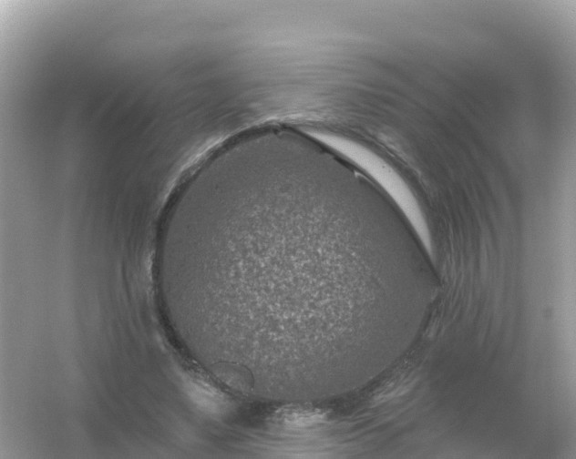 X0000054460491200508051954