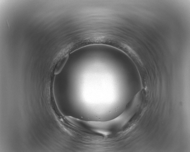 X0000054460493200508051954