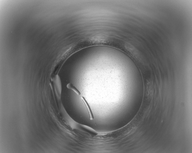 X0000054460494200508051954