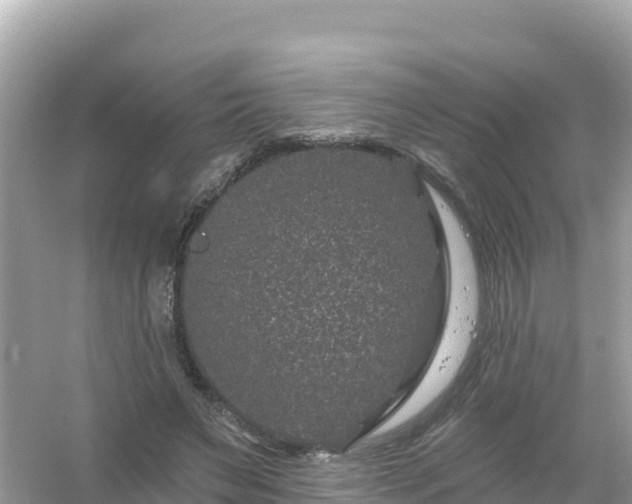 X0000054460495200508051954