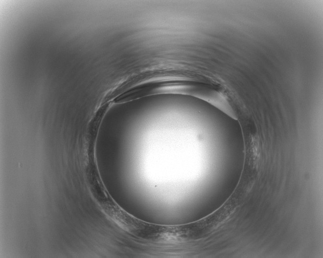 X0000054460496200508051954