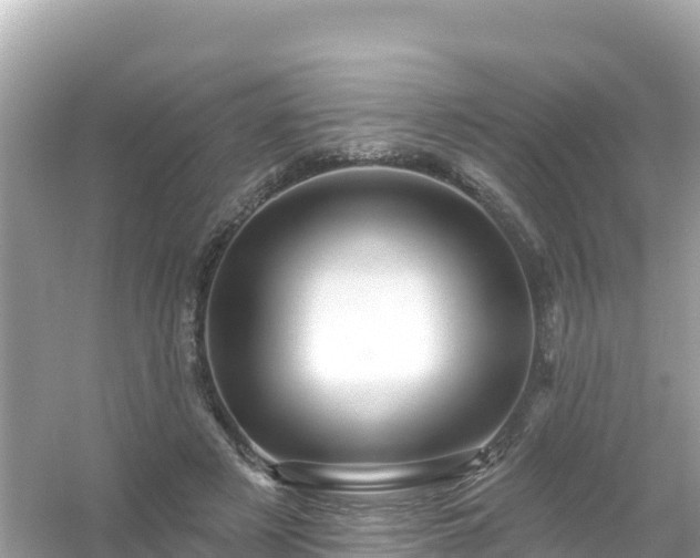 X0000054460497200508051954