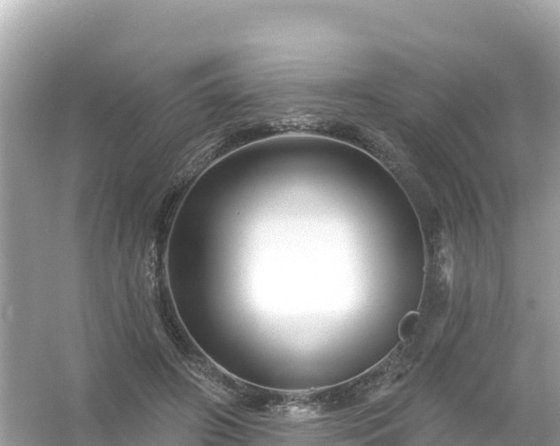 X0000054460498200508051954