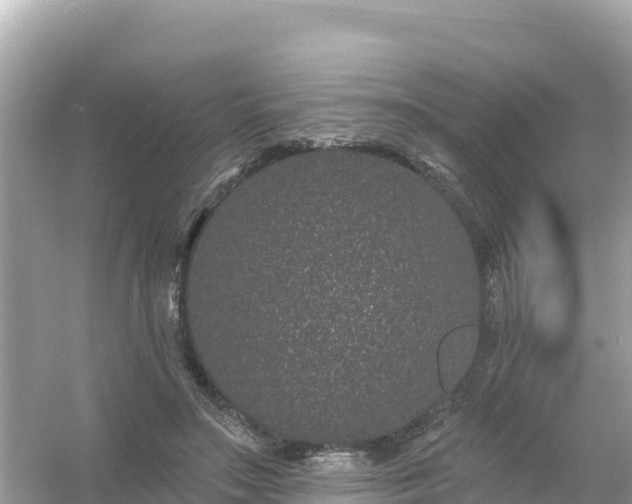 X0000054460499200508051954