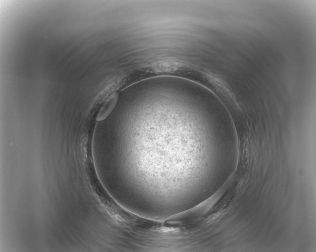 X0000054460501200508051954