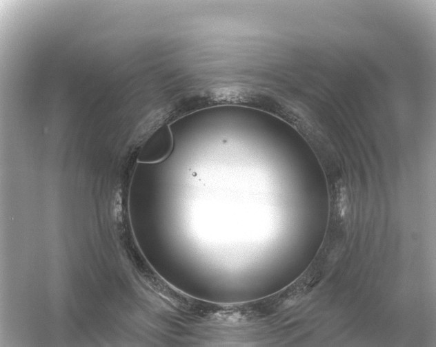 X0000054460502200508051954