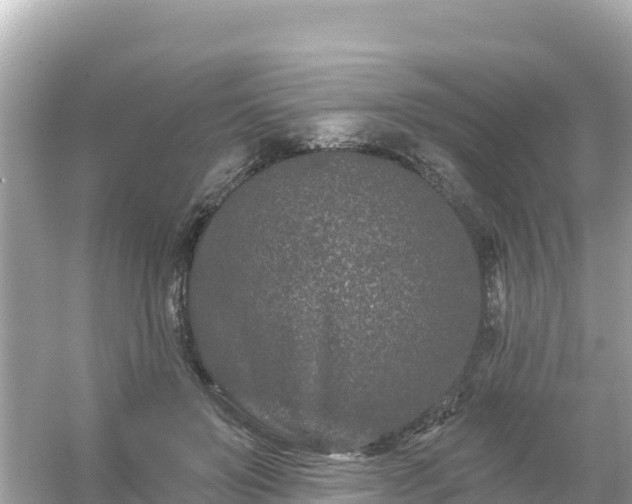 X0000054460503200508051954