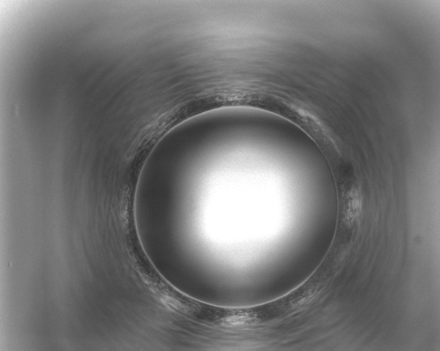 X0000054460505200508051954