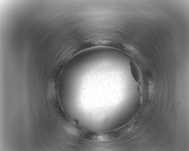 X0000054460506200508051954