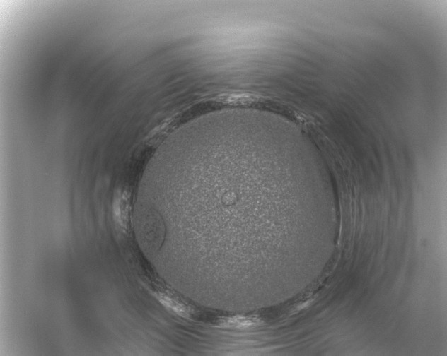 X0000054460511200508051954