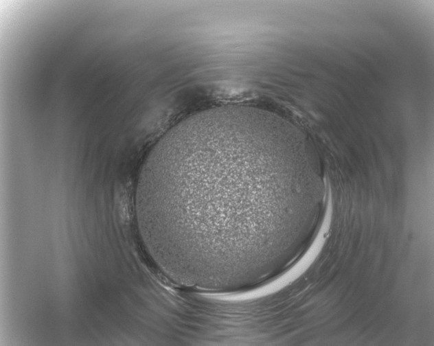 X0000054460515200508051954