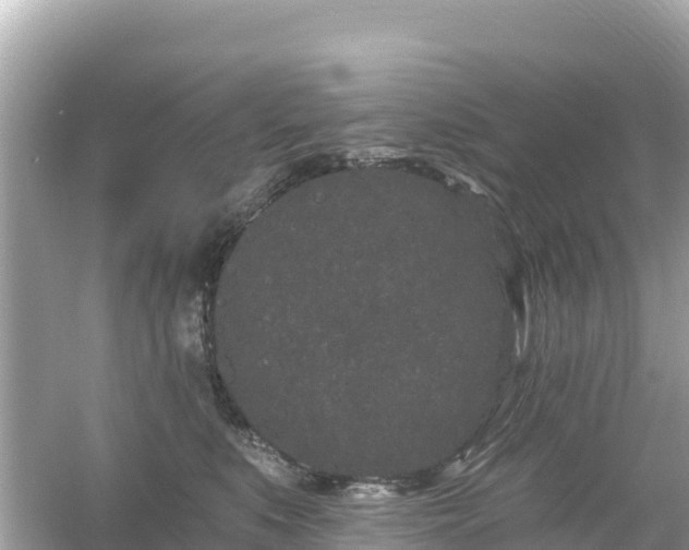 X0000054460519200508051954