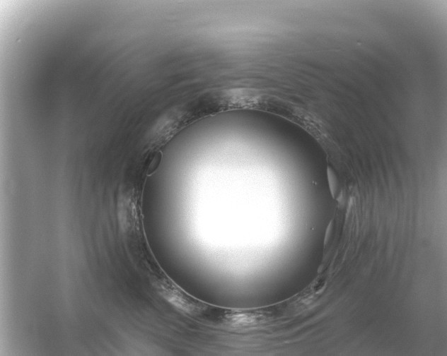 X0000054460522200508051954