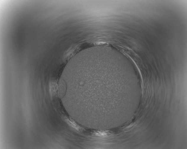 X0000054460523200508051954