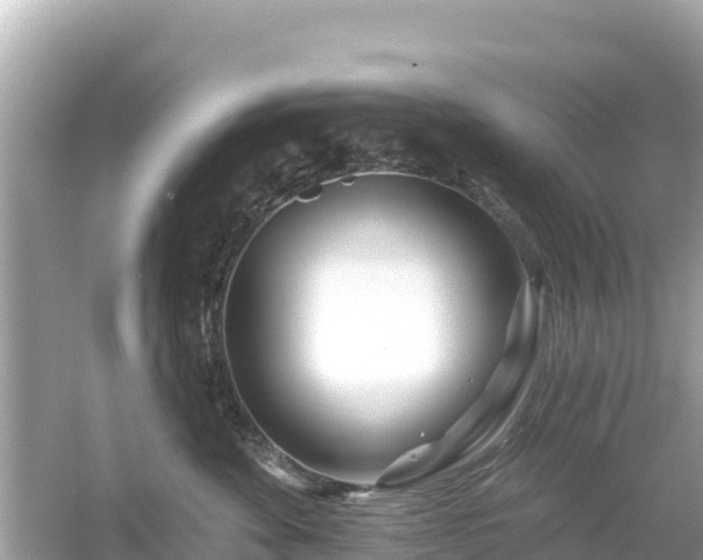 X0000054460524200508051954