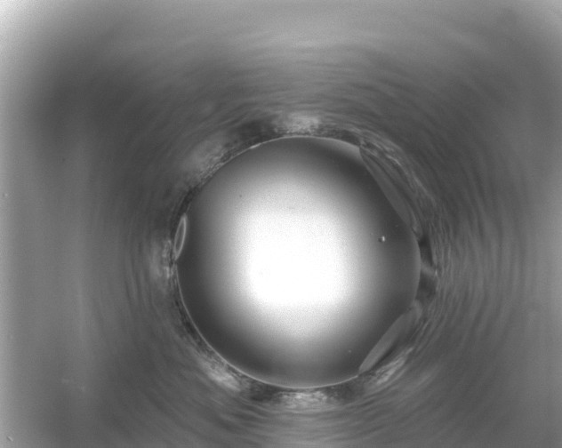 X0000054460525200508051954