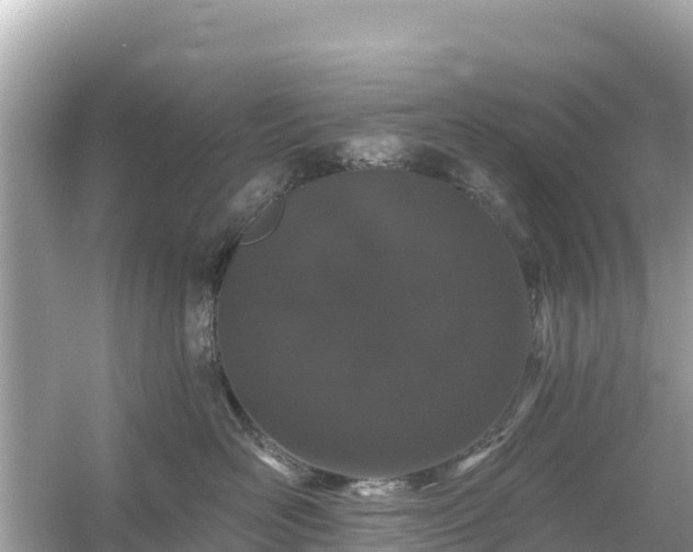 X0000054460526200508051954