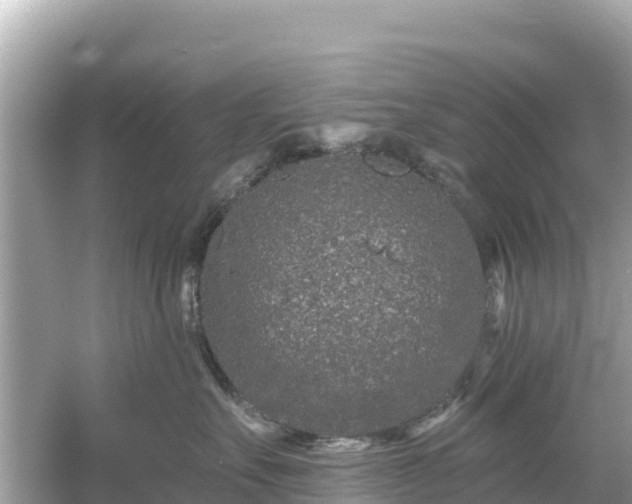 X0000054460527200508051954