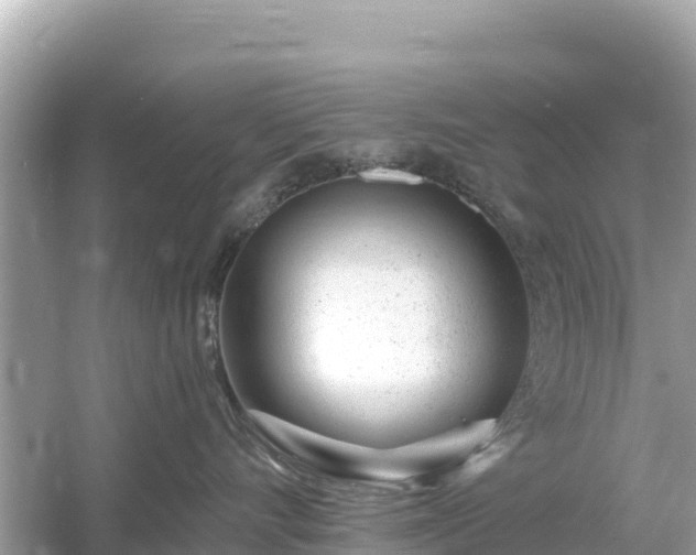 X0000054460528200508051954