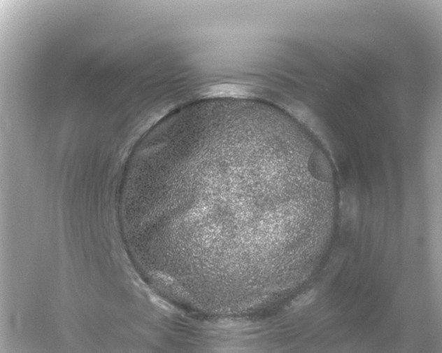 X0000054460529200508051953