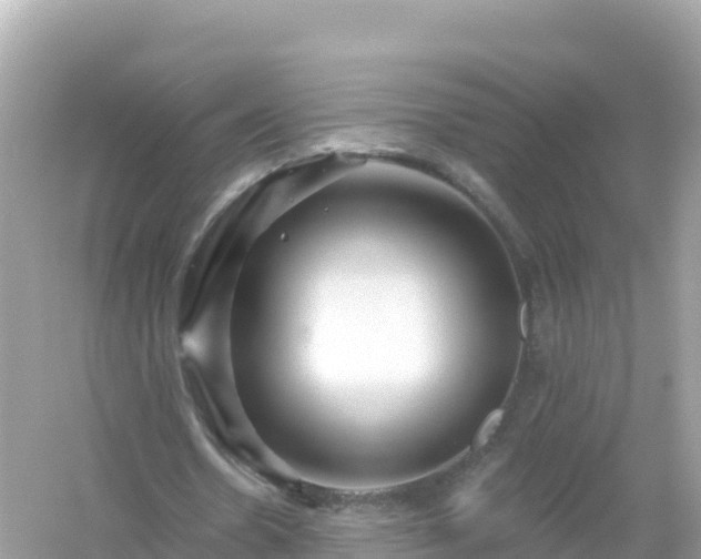 X0000054460530200508051953