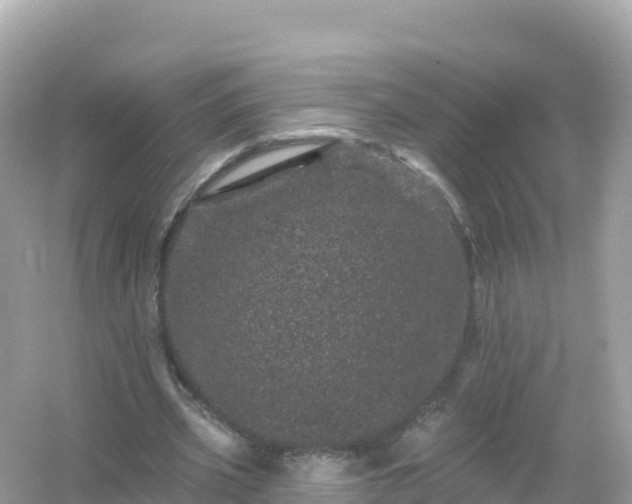 X0000054460533200508051953