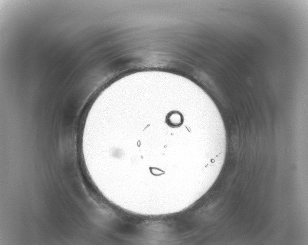 X0000054460534200508051953