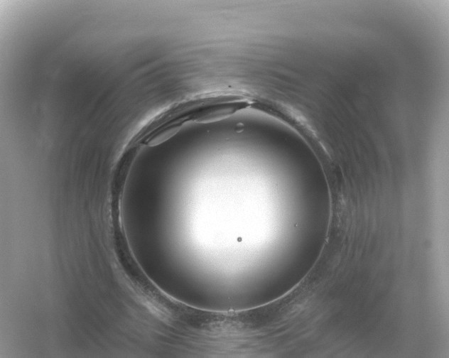 X0000054460535200508051953