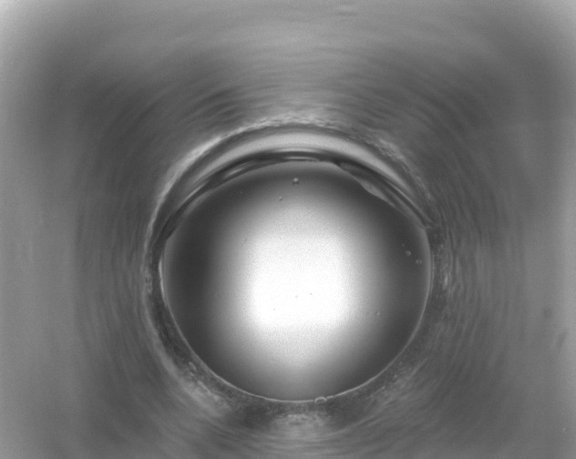 X0000054460536200508051953