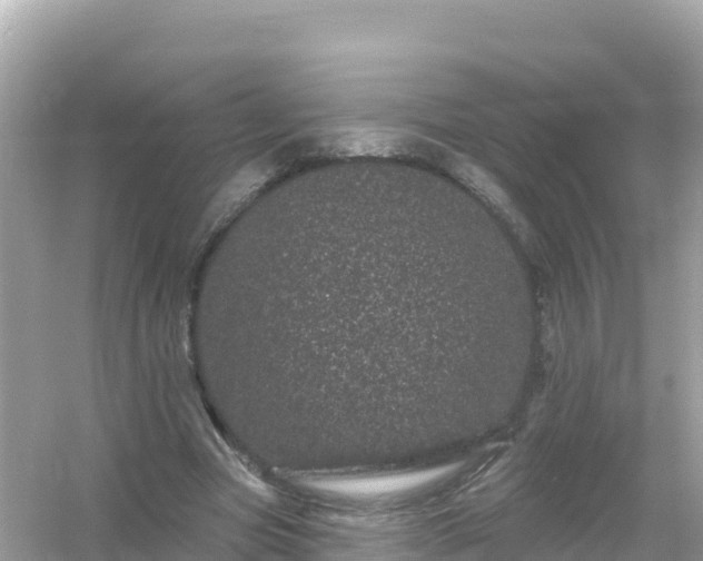 X0000054460537200508051953