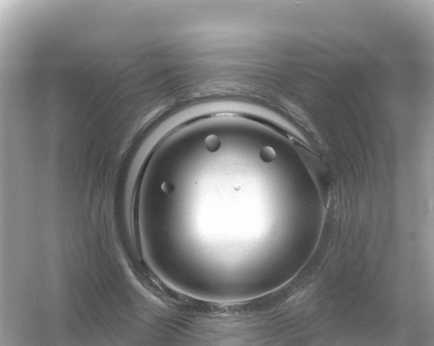 X0000054460538200508051953