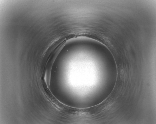 X0000054460539200508051953